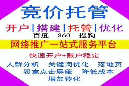 SEM托管服务成功案例：让广告投放更精准、更高效